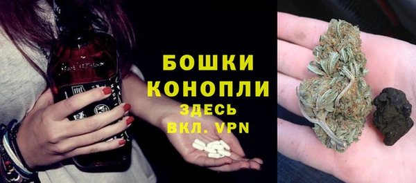 амф Богородицк