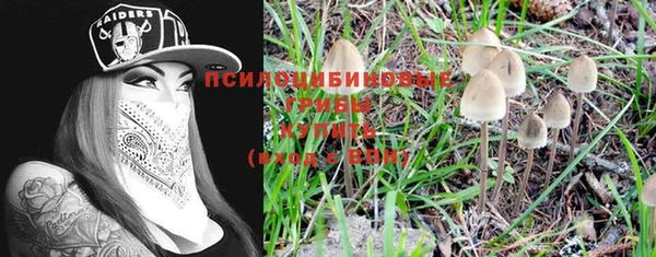 кокаин Богданович