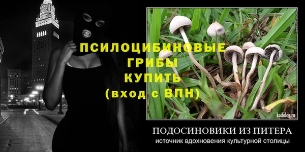 амф Богородицк