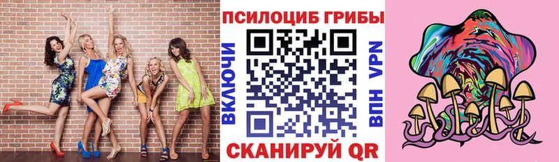 где купить наркоту ОМГ ОМГ зеркало Галлюциногенные грибы GOLDEN TEACHER Волжский